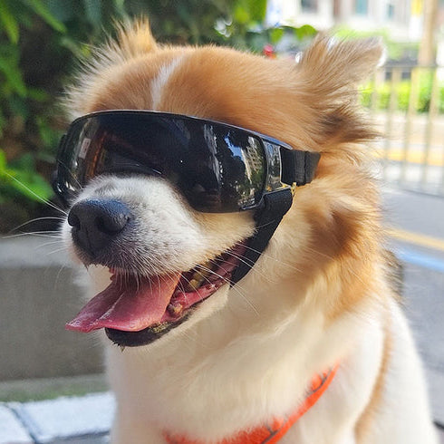 Kelveno™ PawShield UV Protection Dog Goggles